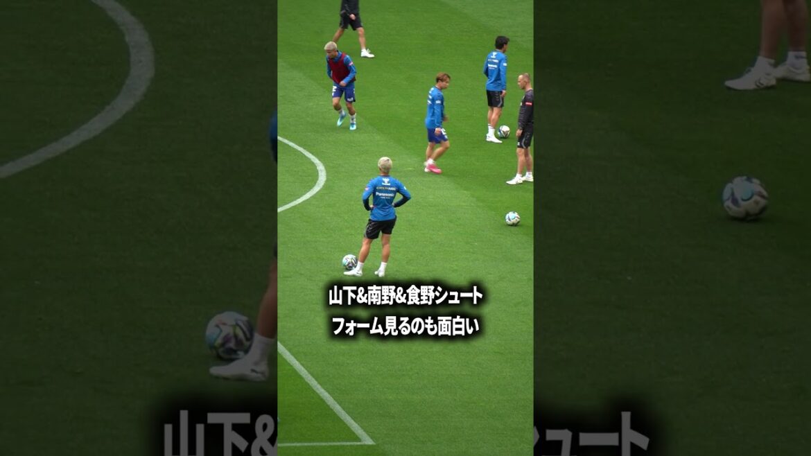 Both Yamashita and Shino are wide and harsh. Both Yamashita and Shino are wide and harsh.