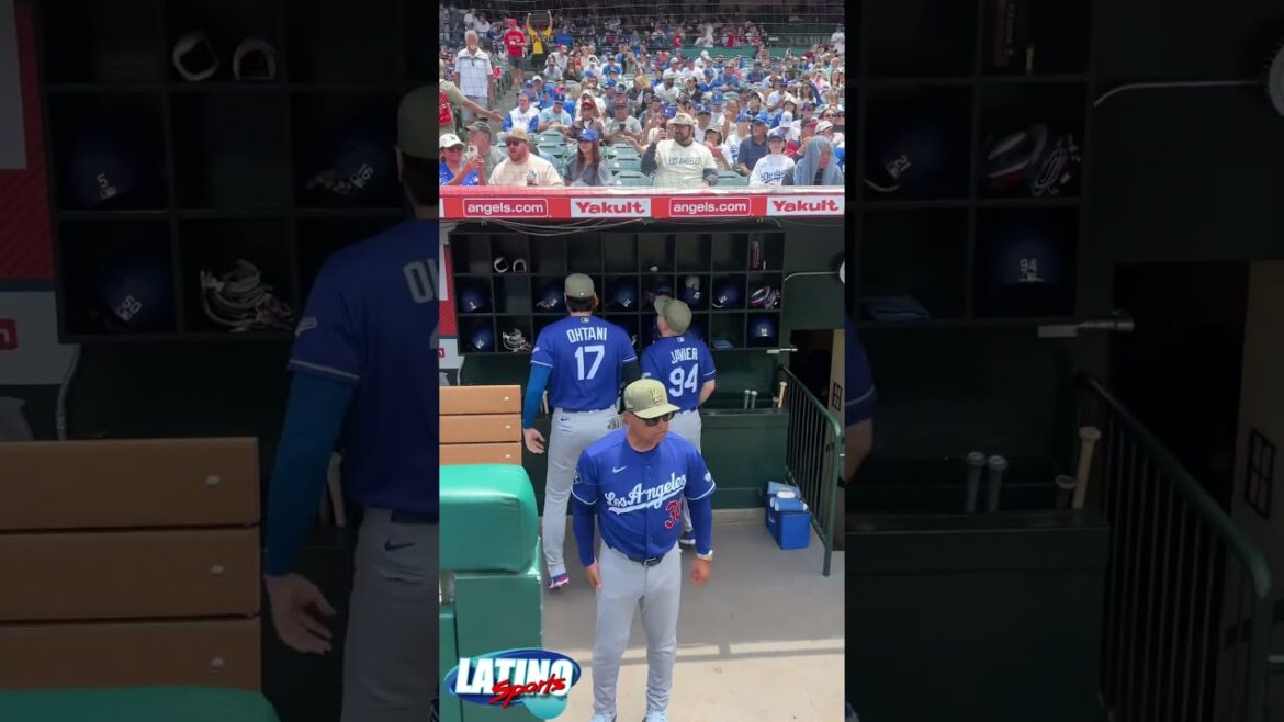 Shohei Ohtani and the Dodgers hyped up before first pitch of the Freeway Series vs. Angels #shorts
