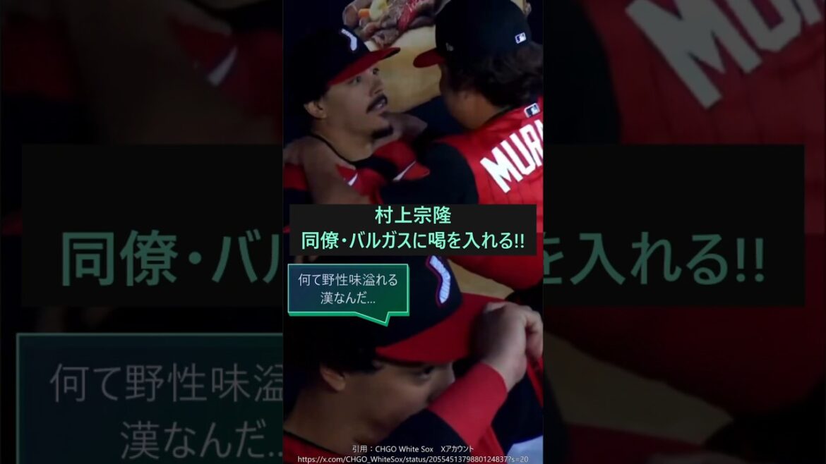 [Don pull...? ]Munetaka Murakami cheers on his teammate Vargas!