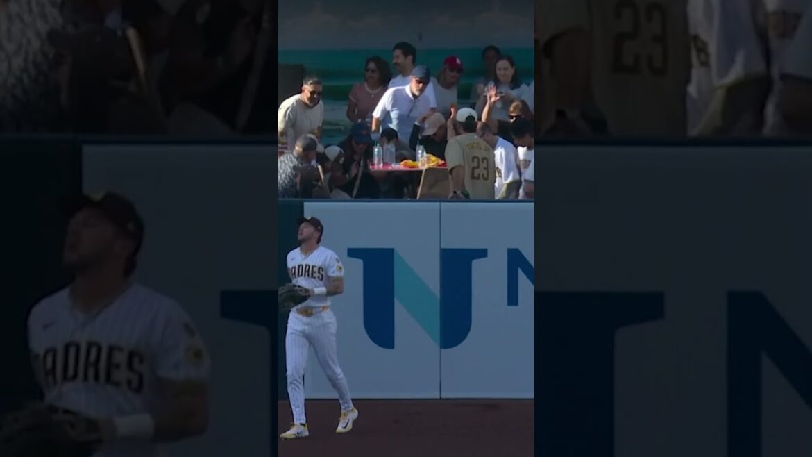 Shohei Ohtani hits the first pitch of the game out of the park 💥 Shohei Ohtani hits the first pitch of the game out of the park 💥