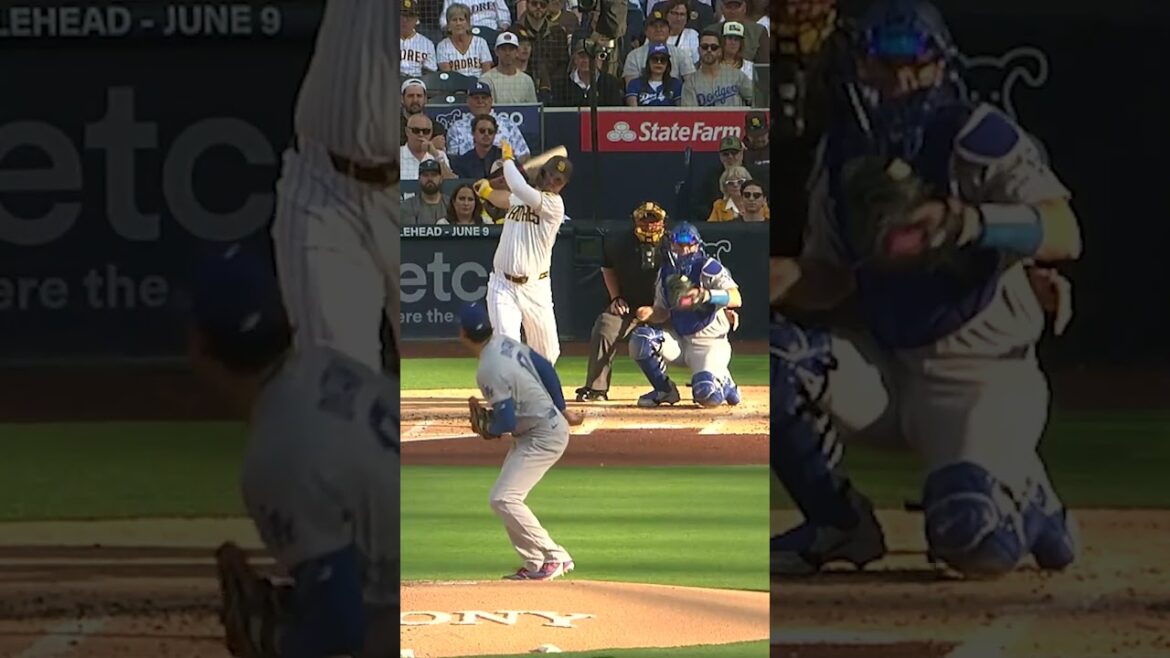 Shohei Ohtani: Baseball's 🦄