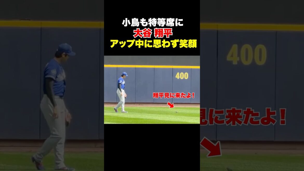 An unexpected unusual visitor appeared while uploading Shohei Otani…!! ️ An unexpected unusual visitor appeared while uploading Shohei Otani...!! ️