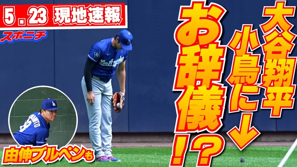 [Shohei Otani and Yoshinobu Yamamoto, May 23 local news]Smiles at the unexpected “happening” They look at each other with the little bird who was watching over them and end their practice by bowing.