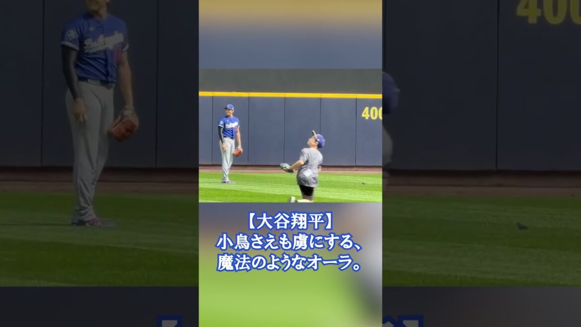 [Shohei Otani]A magical aura that captivates even small birds.