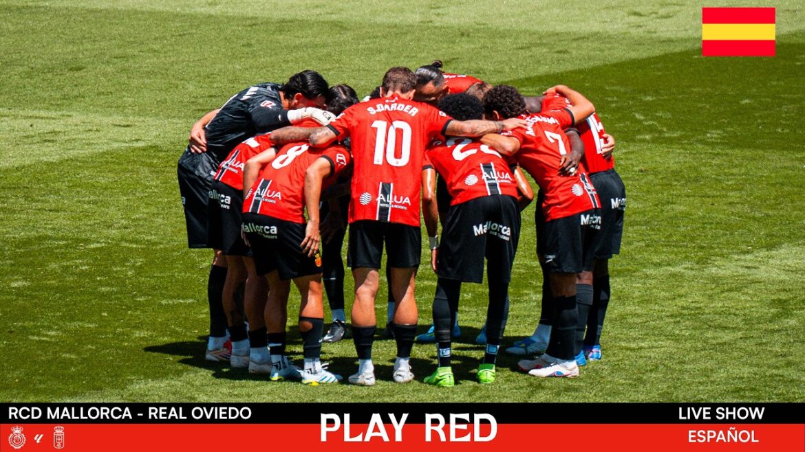 💥 RCD MALLORCA vs REAL OVIEDO LIVE! | Analysis, Opinions and MORE on PLAY RED LIVE 🔴 💥 RCD MALLORCA vs REAL OVIEDO LIVE! | Analysis, Opinions and MORE on PLAY RED LIVE 🔴