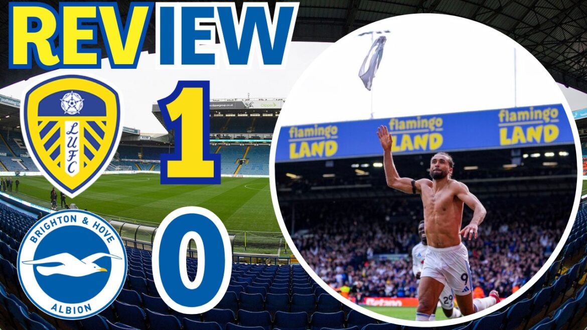 late winner in final home game! Leeds United vs Brighton review
