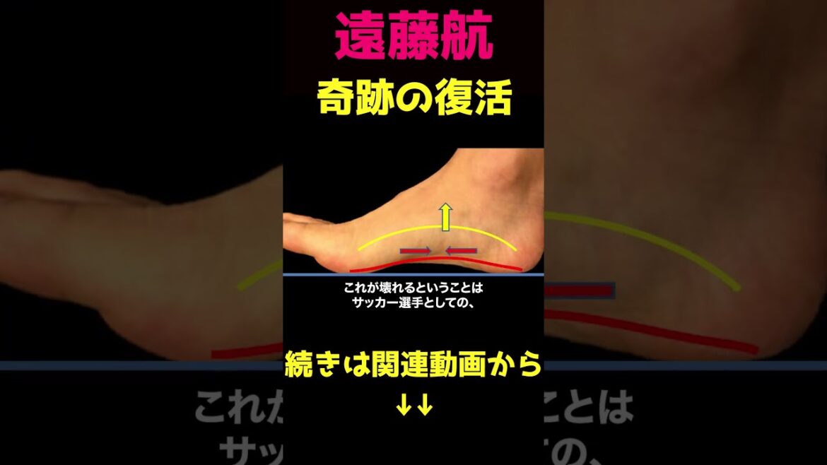 Wataru Endo miraculously makes it in time for the World Cup③