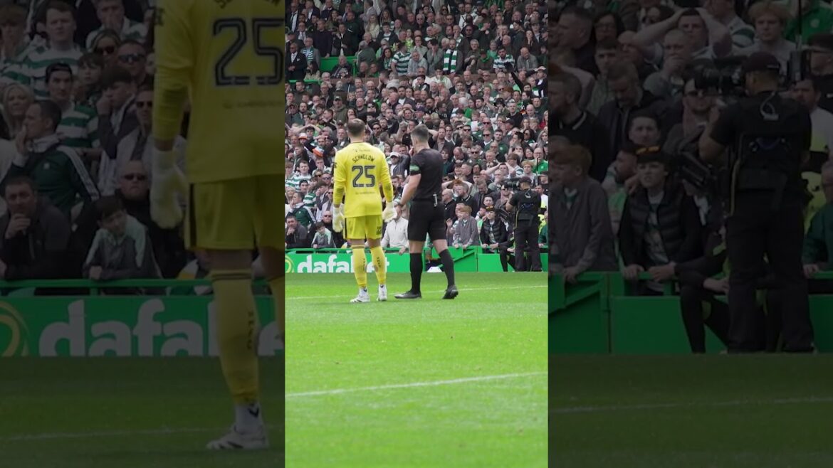 Another huge goal from Daizen ⚡️ #Champion5 | #CelticFC🍀🏆 Another huge goal from Daizen ⚡️ #Champion5 | #CelticFC🍀🏆