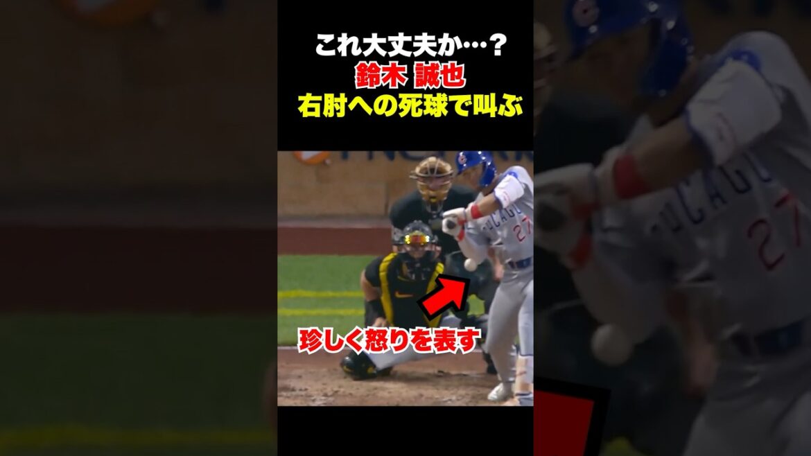 Seiya Suzuki screams after being hit by a pitch near his right elbow❗️ Seiya Suzuki screams after being hit by a pitch near his right elbow❗️