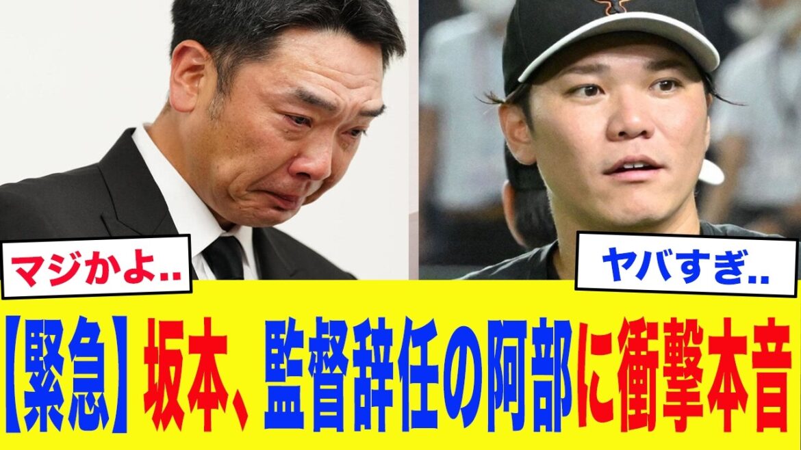``There are many things that I personally think about...'' Hayato Sakamoto is shocked by Shinnosuke Abe's arrest and surprise resignation... The heartbreaking cries of the remaining Nine and the problems facing the new Hashigami system are dangerous...[Yomiuri Giants]