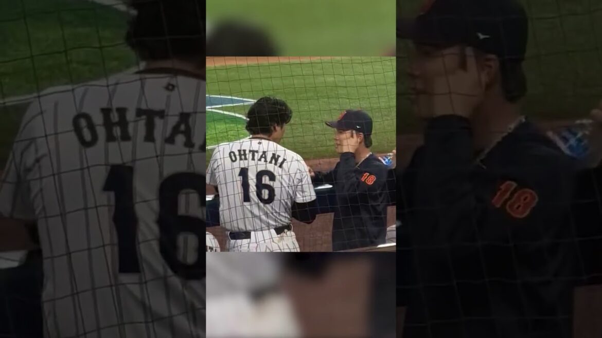 [Shohei Otani and Yoshinobu Yamamoto]Yoshinobu remains alone and waits. A perfect way home that conveys the bond between the two of you.