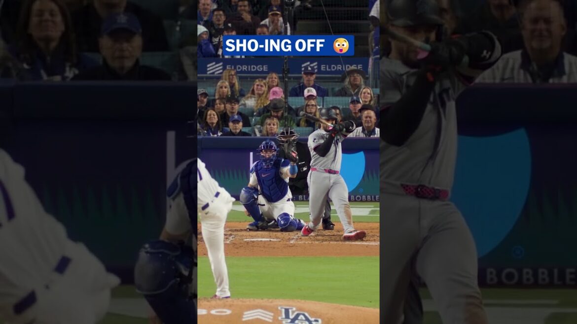 It’s Sho time! 📸 It's Sho time! 📸