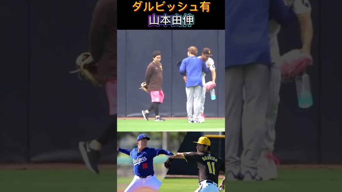 Dodgers Yoshinobu Yamamoto Padres Darvish goes to greet Yu Darvish’s gloves are pink Dodgers Yoshinobu Yamamoto Padres Darvish goes to greet Yu Darvish's gloves are pink