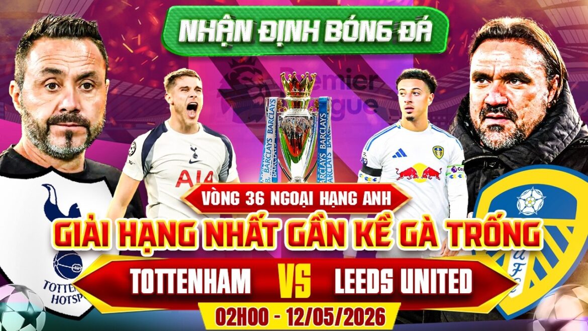 Football commentary today | Tottenham Hotspur vs Leeds United – Premier League – 02:00 May 12 Football commentary today | Tottenham Hotspur vs Leeds United - Premier League - 02:00 May 12