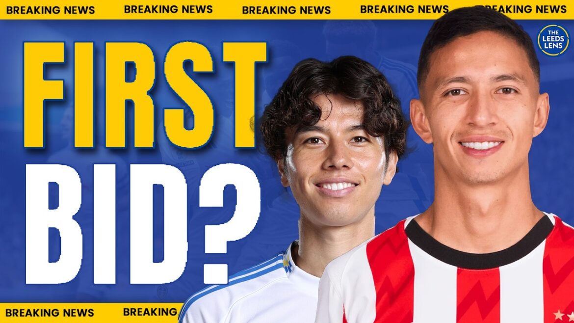 NEW LB Linked! | Mauro Junior To Leeds? | Rutter On Waccoe? | Tanaka Speaks Out! | Leeds United News NEW LB Linked! | Mauro Junior To Leeds? | Rutter On Waccoe? | Tanaka Speaks Out! | Leeds United News
