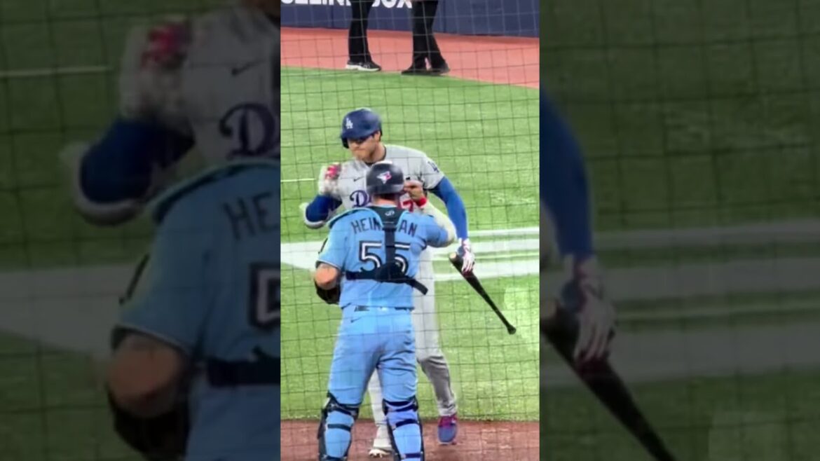 [Shohei Otani]Back heading towards the ground. A movie-like battle scene that brings tears to your eyes just by looking at it.