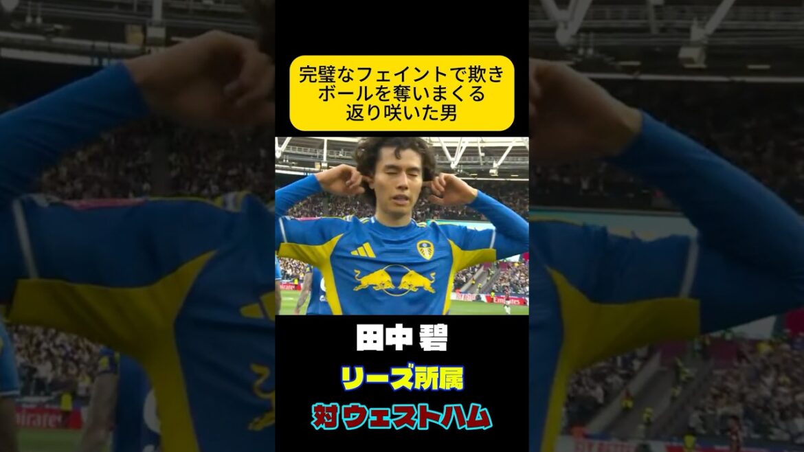 Ao Tanaka, the man who returned to the pitch with solid ability, Japan Soccer National Team
