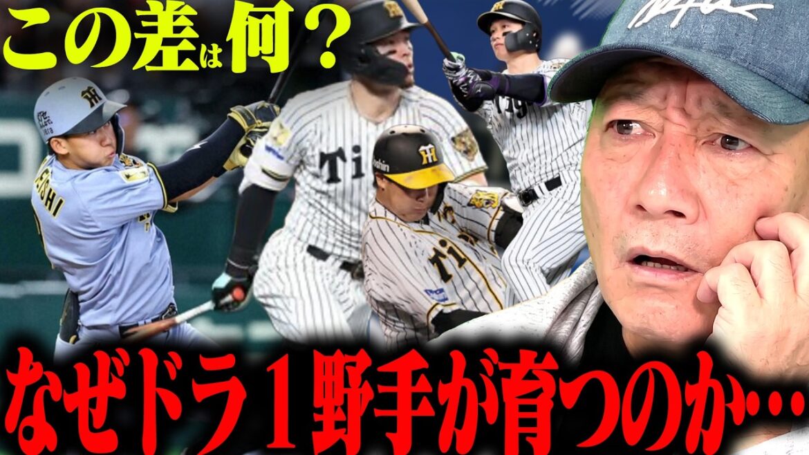 [Thorough analysis]“What we have in common is 〇〇!! ︎” Why does the Hanshin Dora No. 1 fielder grow up? Takagi talks about what makes him different from other teams![Professional baseball news]