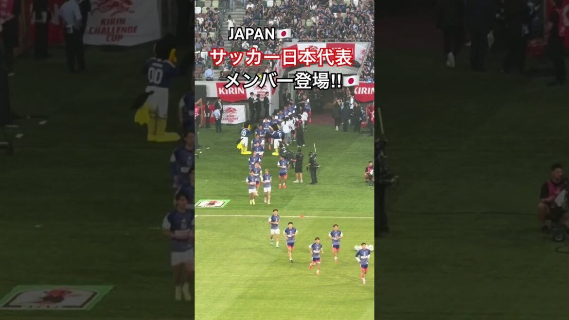 Japanese national soccer team members appear!! ︎ #Japan National Soccer Team #football #soccer #Worldcup #worldcup #Japan National Team