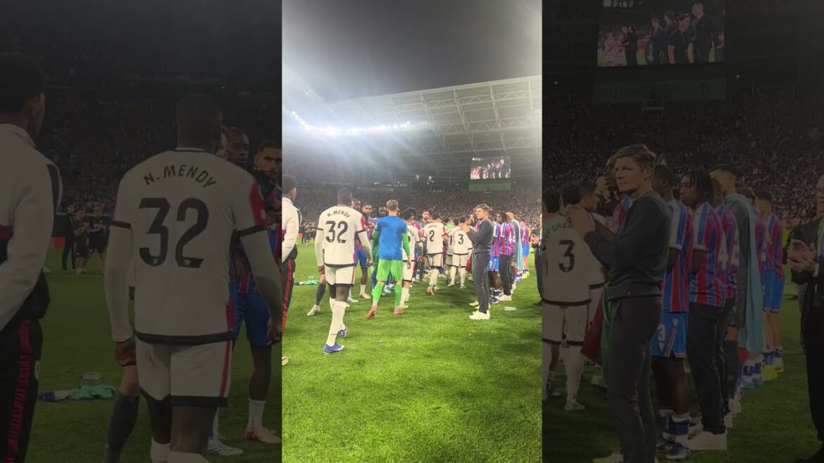 A guard of honour for our opponents 👏 ❤️🤍 #crystalpalace #uefa #champions A guard of honour for our opponents 👏 ❤️🤍 #crystalpalace #uefa #champions