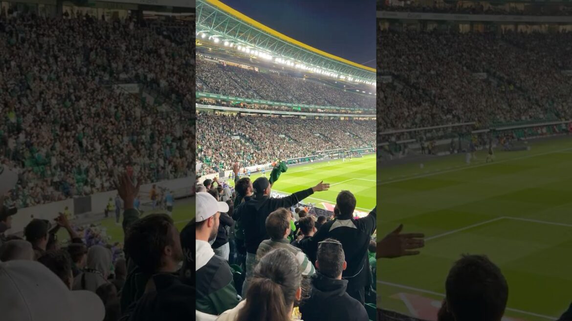 Farewell Morita #sportingcp #morita