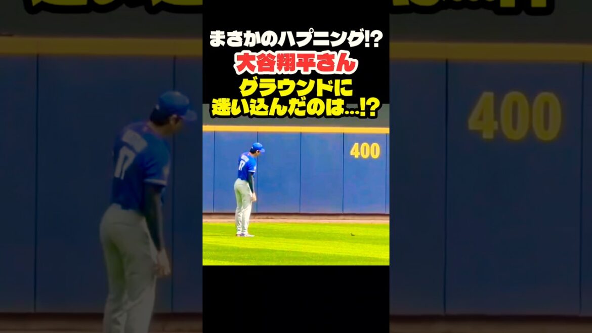 Shohei Otani An unexpected incident on the field!? ️ #Shohei Otani #mlb #shorts #dodgers