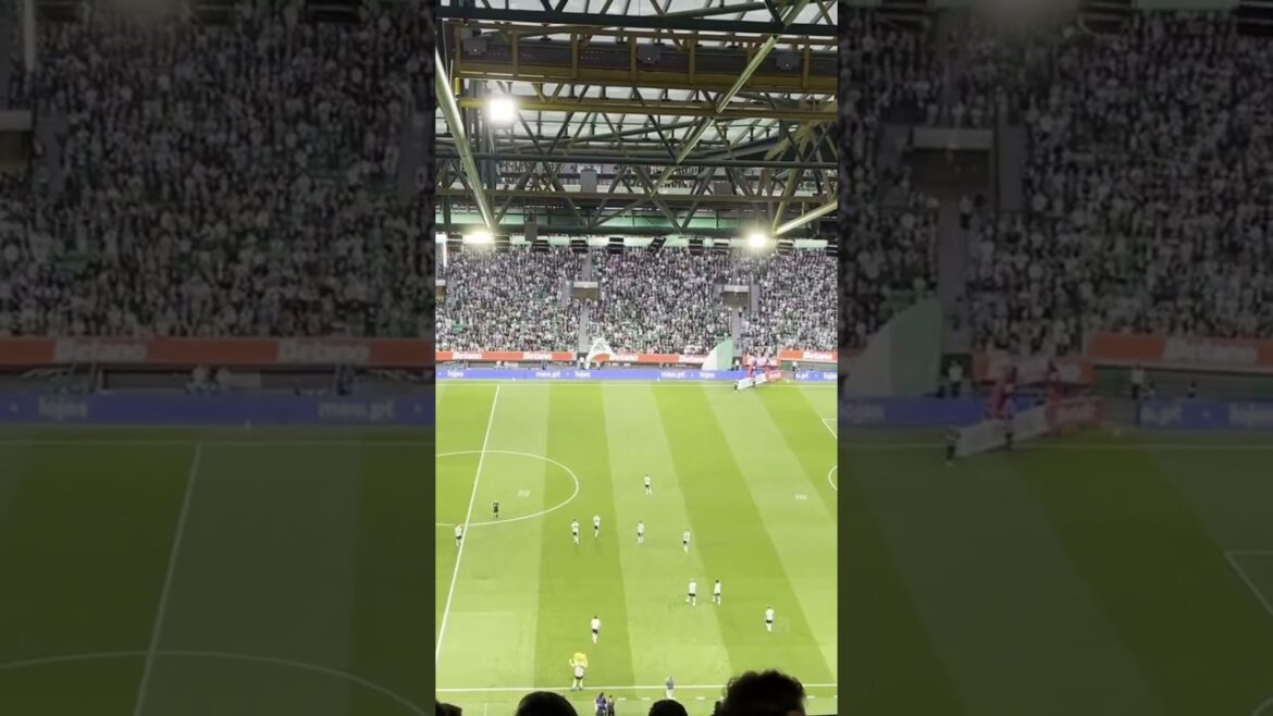 Morita honored in the last game for Sporting in Alvalade #sporting #morita