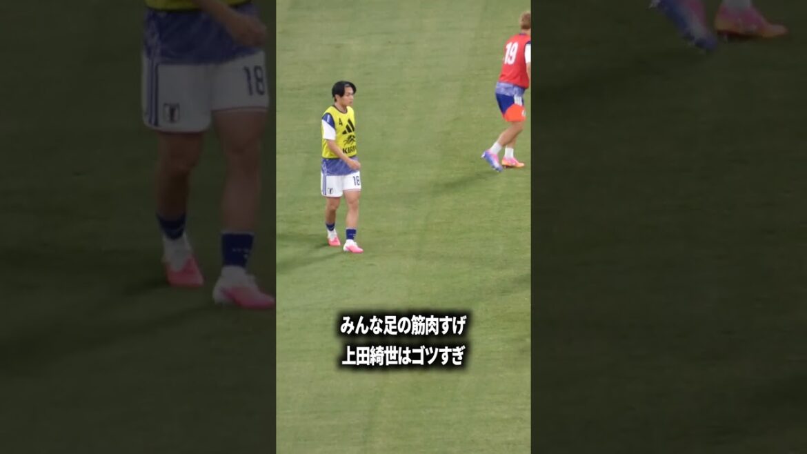 Kiyo Ueda's muscles are amazing