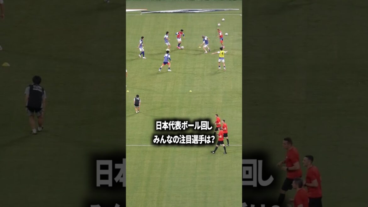 Who are the notable players on the Japanese national team?