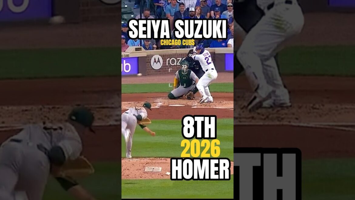 🚨 SEIYA STRIKES AGAIN!! ️ 💥💣⚾ | 8TH HR Seiya Suzuki Awakening 🐻🇯🇵 #shorts #baseball #highlights
