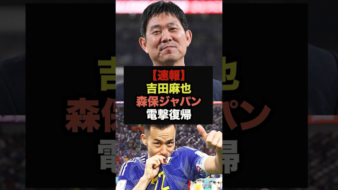 [Breaking News]Rumors of Maya Yoshida joining the squad in place of injured Endo have suddenly emerged #Japan Soccer National Team #World Cup Team