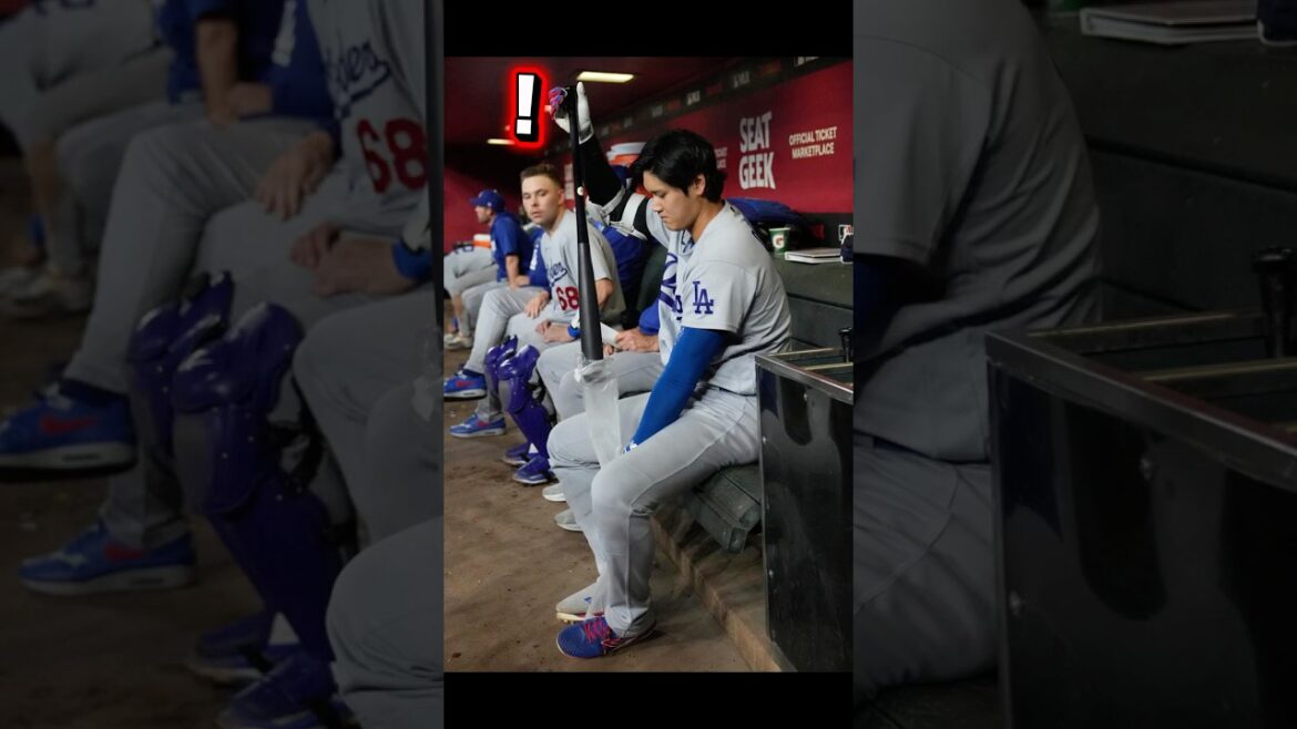 Dodgers Shohei Otani bought a new bat