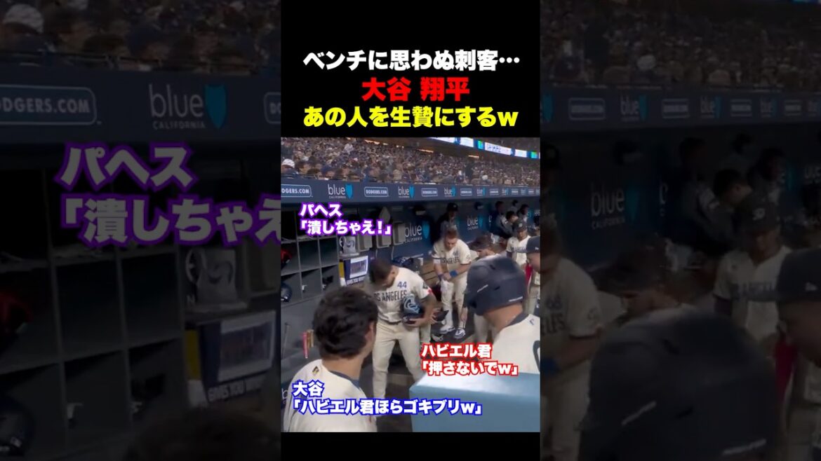 Shohei Otani sacrifices that person to cockroaches lol Shohei Otani sacrifices that person to cockroaches lol