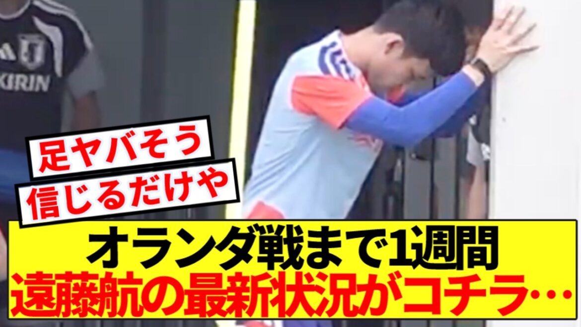 [Breaking news]One week until the match against the Netherlands, here is the status of captain Wataru Endo