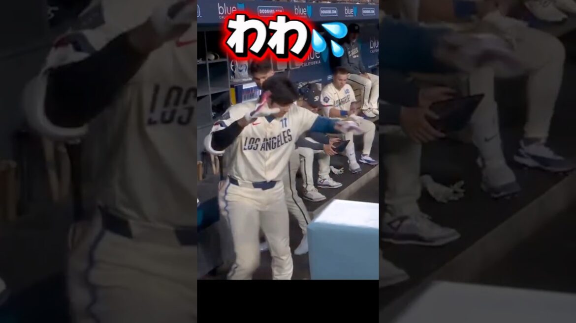 Dodgers Shohei Otani surprised by cockroaches Dodgers Shohei Otani surprised by cockroaches
