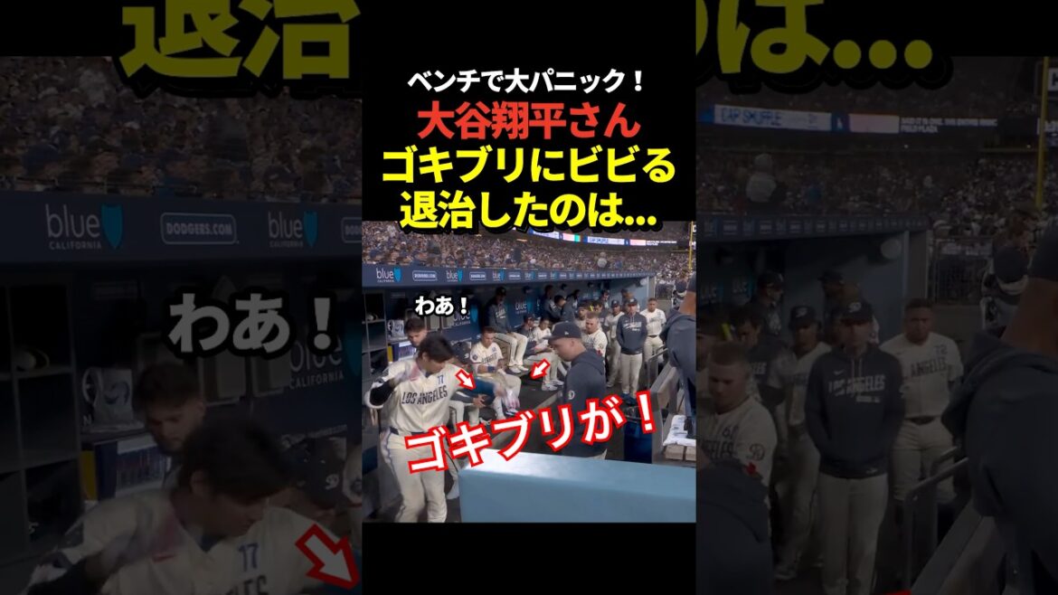 Shohei Otani was surprised to see a cockroach on the bench! ️Pahes is successfully exterminated!