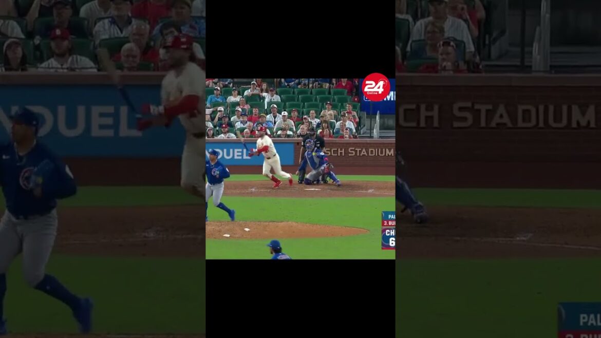 Seiya Suzuki Fired a Perfect Strike to Cut Down the Runner at Third ๐ฎ Seiya Suzuki Fired a Perfect Strike to Cut Down the Runner at Third ๐ฎ