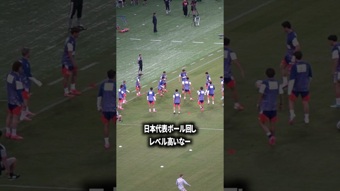 Japan national team ball-spreading level is high Japan national team ball-spreading level is high
