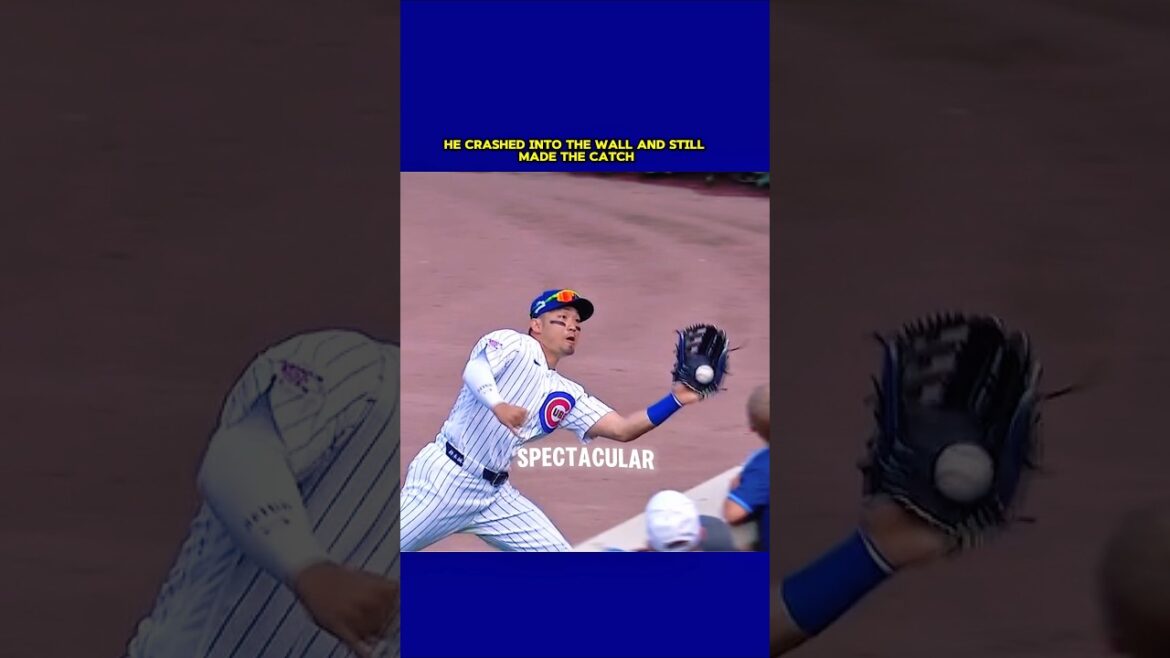 Seiya Suzuki’s Fearless Catch at the Wall! #shortfeed #feedshorts #baseball Seiya Suzuki's Fearless Catch at the Wall! #shortfeed #feedshorts #baseball