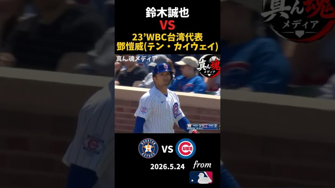 Seiya Suzuki VS23' WBC Taiwan representative Deng Kaiwei #wbc #true soul media #mlb