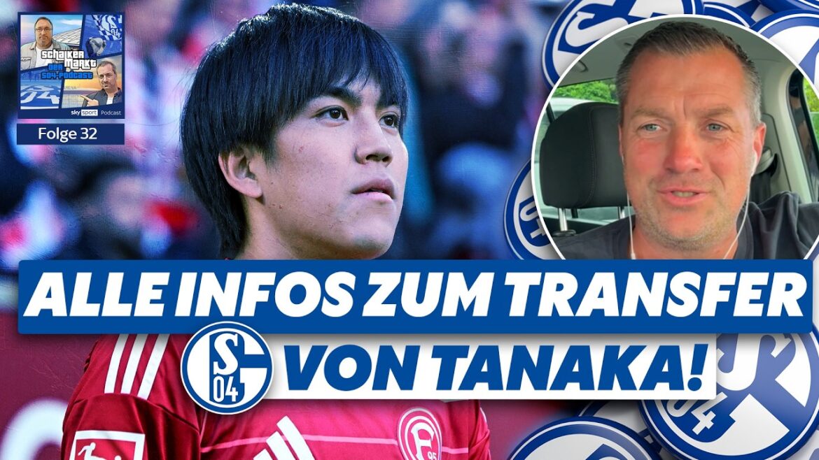 #032 – Everything about the Tanaka deal, more details to follow & a surprise visit #032 - Everything about the Tanaka deal, more details to follow & a surprise visit