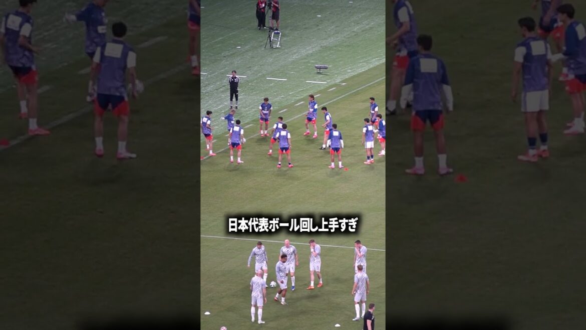 The Japanese representative is really good. The Japanese representative is really good.