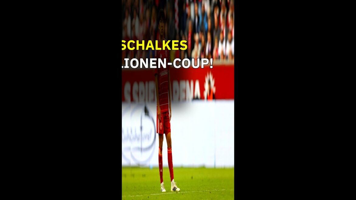 Schalke grabs Tanaka! Transfer bargains official Schalke grabs Tanaka! Transfer bargains official
