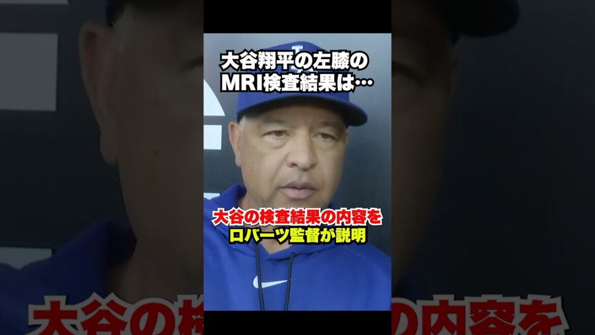 Latest information Manager Roberts talks about Shohei Otani’s MRI test details and how to use him🔥 Latest information Manager Roberts talks about Shohei Otani's MRI test details and how to use him🔥