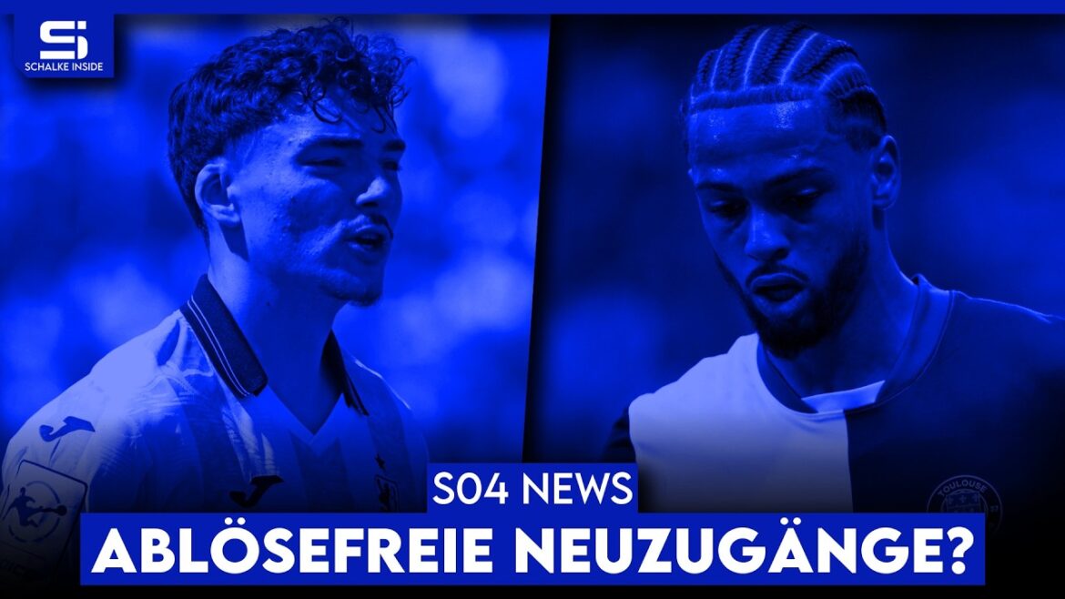 Offer for new striker! Dulic in his sights! Tanaka as backup? What the squad is missing! | S04 NEWS Offer for new striker! Dulic in his sights! Tanaka as backup? What the squad is missing! | S04 NEWS