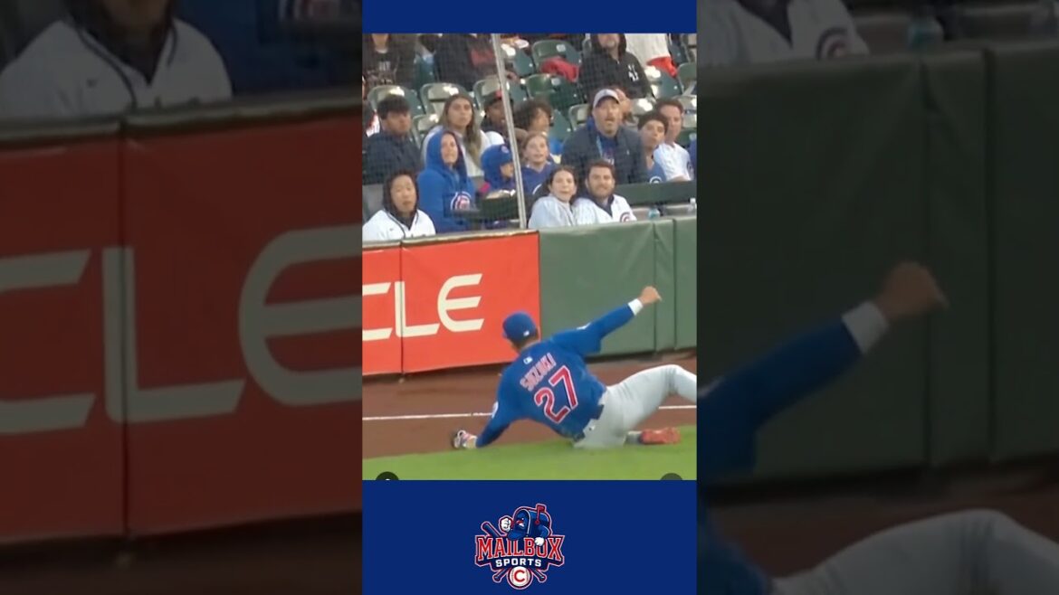 Is Seiya Suzuki the most underrated fielder in the MLB? ⚾️ #cubs #mlb #shorts Is Seiya Suzuki the most underrated fielder in the MLB? ⚾️ #cubs #mlb #shorts