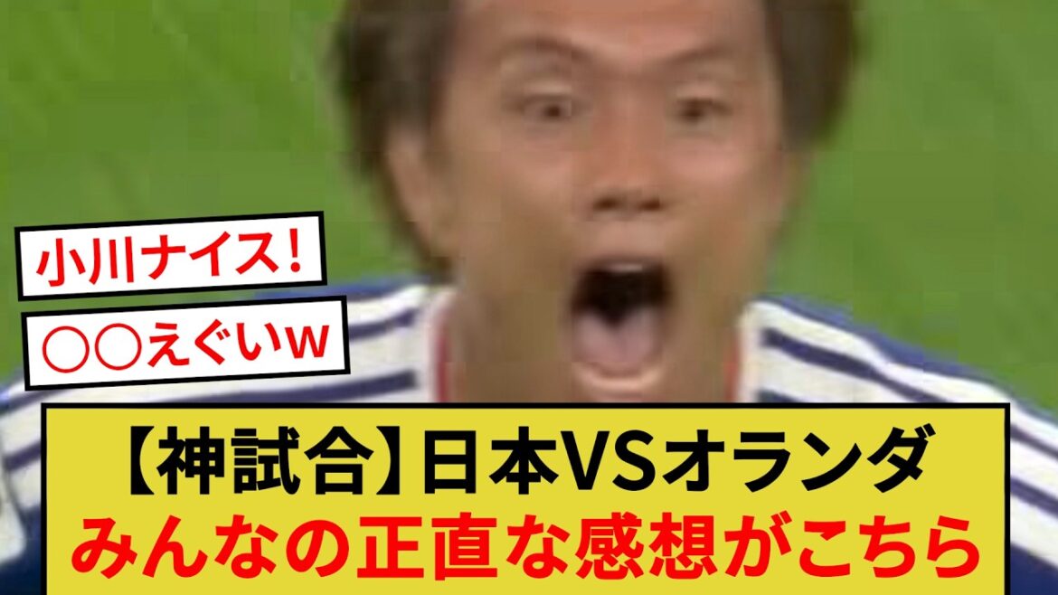 [God match]Japan VS Netherlands everyone's honest impressions are here lol