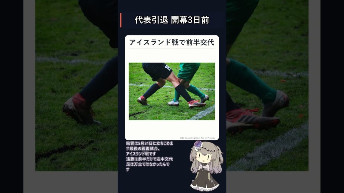 Wataru Endo retires from the national team after withdrawing from the World Cup | Shocking 3 days before the opening day