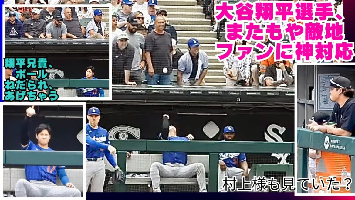Interesting local video!! ️Shohei Otani is again a god!! ️At first I thought he was making fun of the fans who wanted the ball, but it was actually a gift! Apparently he was a White Socks fan, so he just went home to avoid getting angry at other fans?