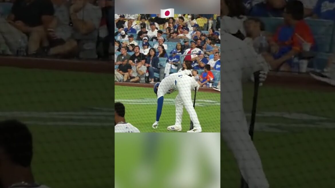 [Shohei Otani and his fans]Japan's pride. People all over the world were moved by the trash picking up after the match👏